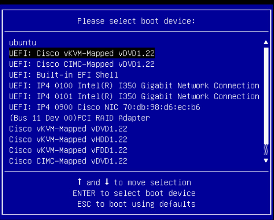 Selecting to boot the installer disc