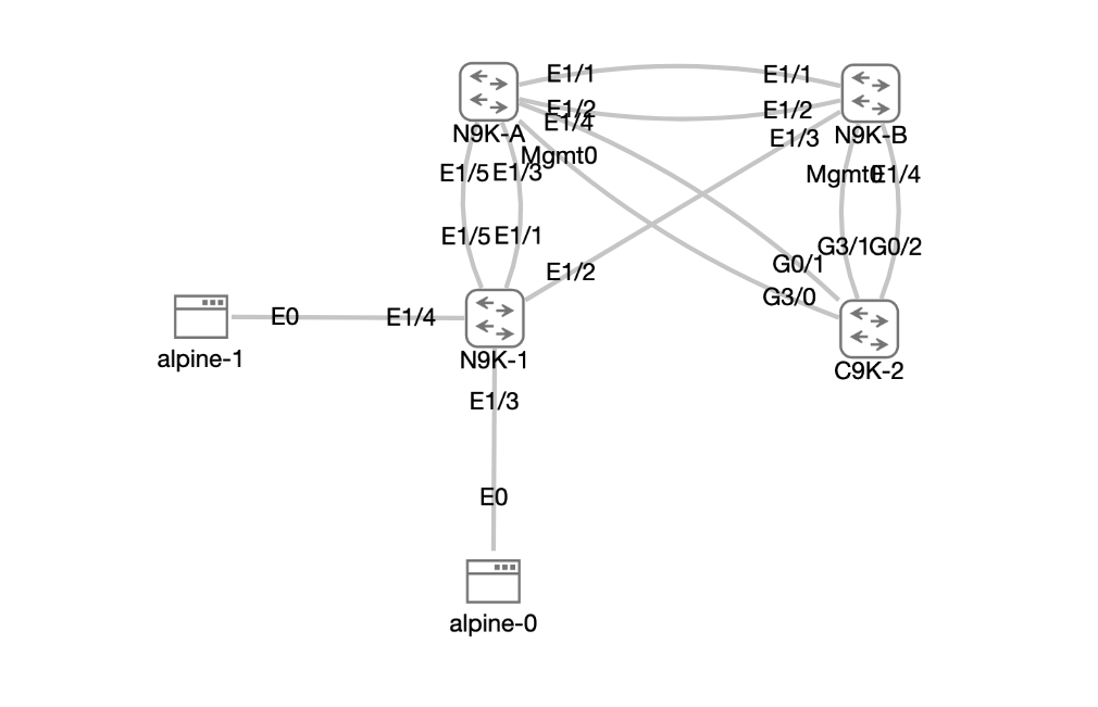 NX-OS 9500v Feature Test Topology