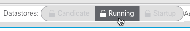 Screenshot showing the "candidate", "running", and "startup" buttons.